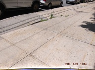Just A Few Yards Away The Broken Sidewalk In Front Of 131 Jersey Street Is Still Broken After All Of These Years!!