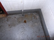There Is No Way For A Photograph To Display The Awful Stench Of This Newly Placed Urine!!