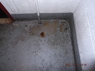 It Is A New Day And Once Again The Human Vermin Using This Notorious NYCHA Building As Their " Property " Leave Their Smelly Urine On The Second Floor Landing Of The " B " Stairwell Right Under The NYPD Cameras!!!