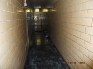 THIS IS THE GROUND FLOOR HALLWAY THAT IS ALWAYS COVERED WITH FILTH!! THERE ARE FOUR NEW YORK CITY HOUSING AUTHORITY APARTMENTS BEING PAID FOR EACH MONTH AT THIS DISGUSTING PLACE!!