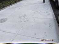 Just Outside Of The N.Y.C.H.A. Richmond Terrace Houses Management Office The Wild Vicious Thugs I Call Satan's Savages Have Defaced Our New Sidewalk The Same Way That They Deface The Inside Of This Notorious Building!!