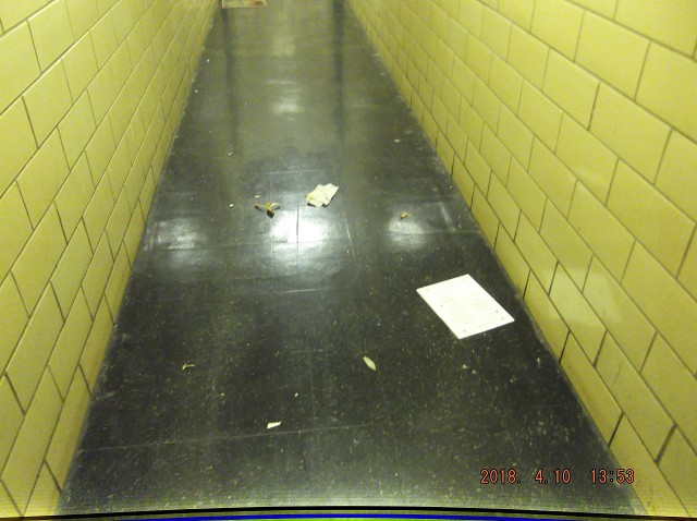 Once Again This N.Y.C.H.A. Building At 131 Jersey Street Upon Staten Island Has Been Assigned Another " No Show Caretaker " That Takes The Money, But Never Does The Work!! This Trash Has Been On The Hallway Floor For Two Weeks Now!!Welcome Back To The Swill And The Slime Of Satanville!!