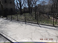Today Is April 20, 2018 And This Smelly Filthy Rat Farm Three Trash Is At The Rear Of 456 Richmond Terrace Of The N.Y.C.H.A. Richmond Terrace Houses Along Westervelt Avenue!!