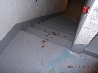 The Violent Young Drug Addicts I Call " Satan's Savages " Have Spread Their " Ugly Turf " To The Upper Floors And Stairwells Of This Very Notorious N.Y.C.H.A. Building!!  Mayor Di Blasio's Police Department Continues To Ignore This Vile Situation!!