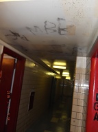 The Violent Young Drug Addicts I Call " Satan's Savages " Have Spread Their " Ugly Turf " To The Upper Floors And Stairwells Of This Very Notorious N.Y.C.H.A. Building!!  Mayor Di Blasio's Police Department Continues To Ignore This Vile Situation!!